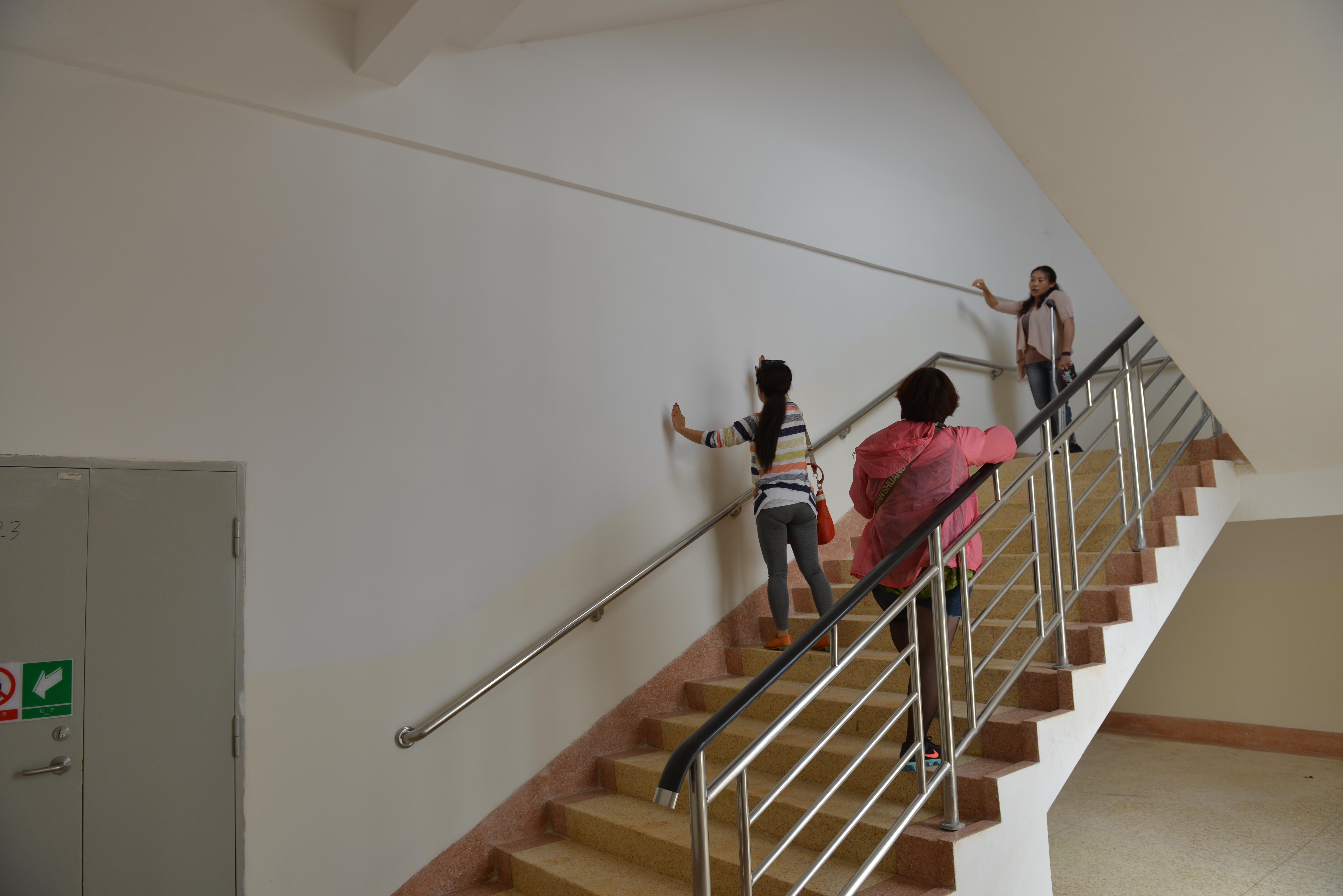 图为实地勘察（二）